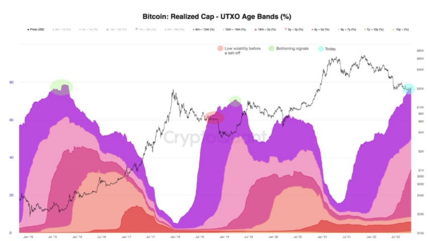 Rezalized Cap UTXO Age Bands