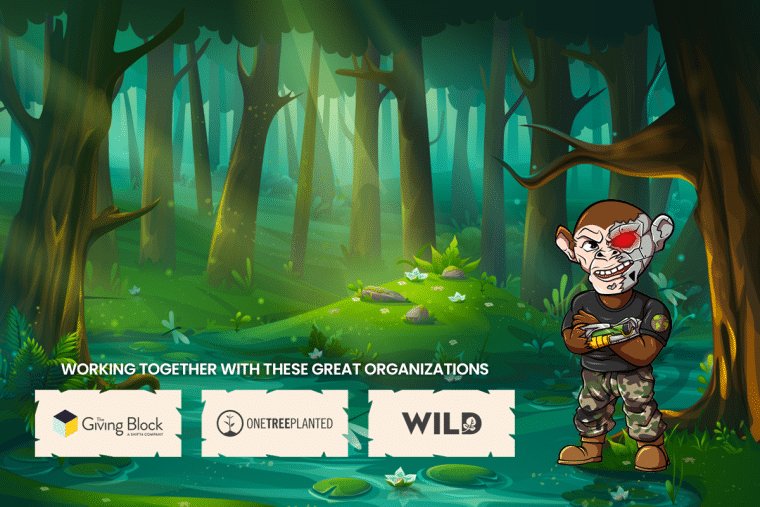 Porque especialistas consideram Chimpzee uma plataforma Web3 revolucionária