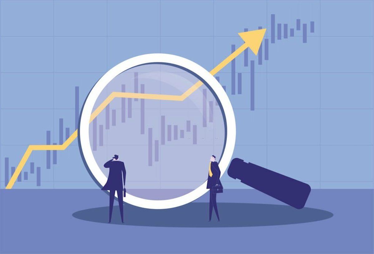 ¿Es esta criptomoneda meme una buena opción de inversión para 2024?