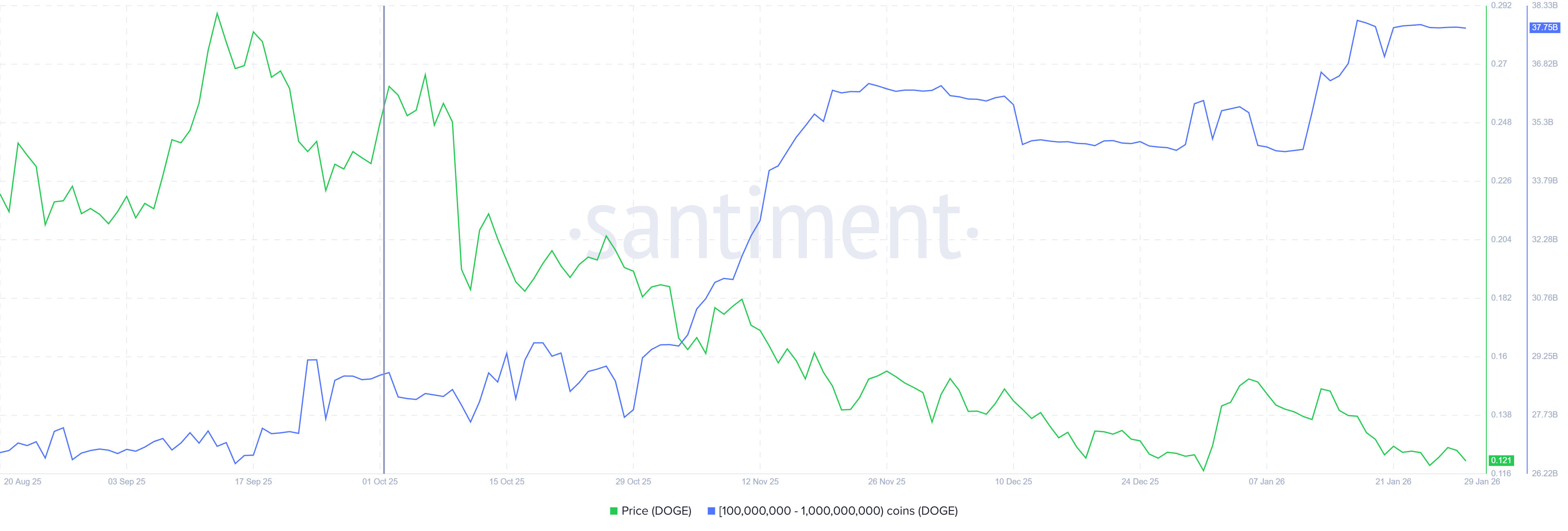 Số lượng DOGE cá voi nắm giữ.