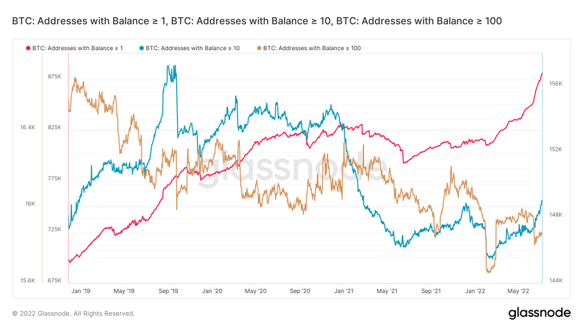 Medium-sized addresses ончейн