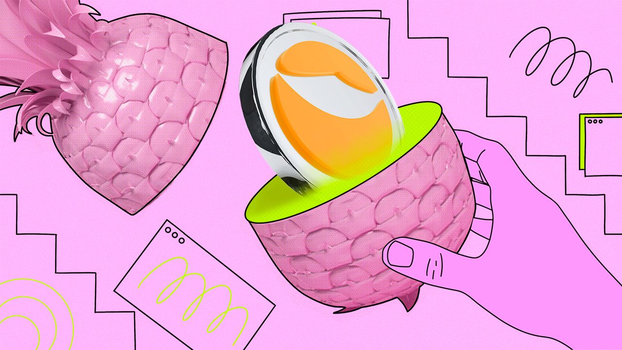 Terra Classic (LUNC) : Déjà dans un bear market ? 