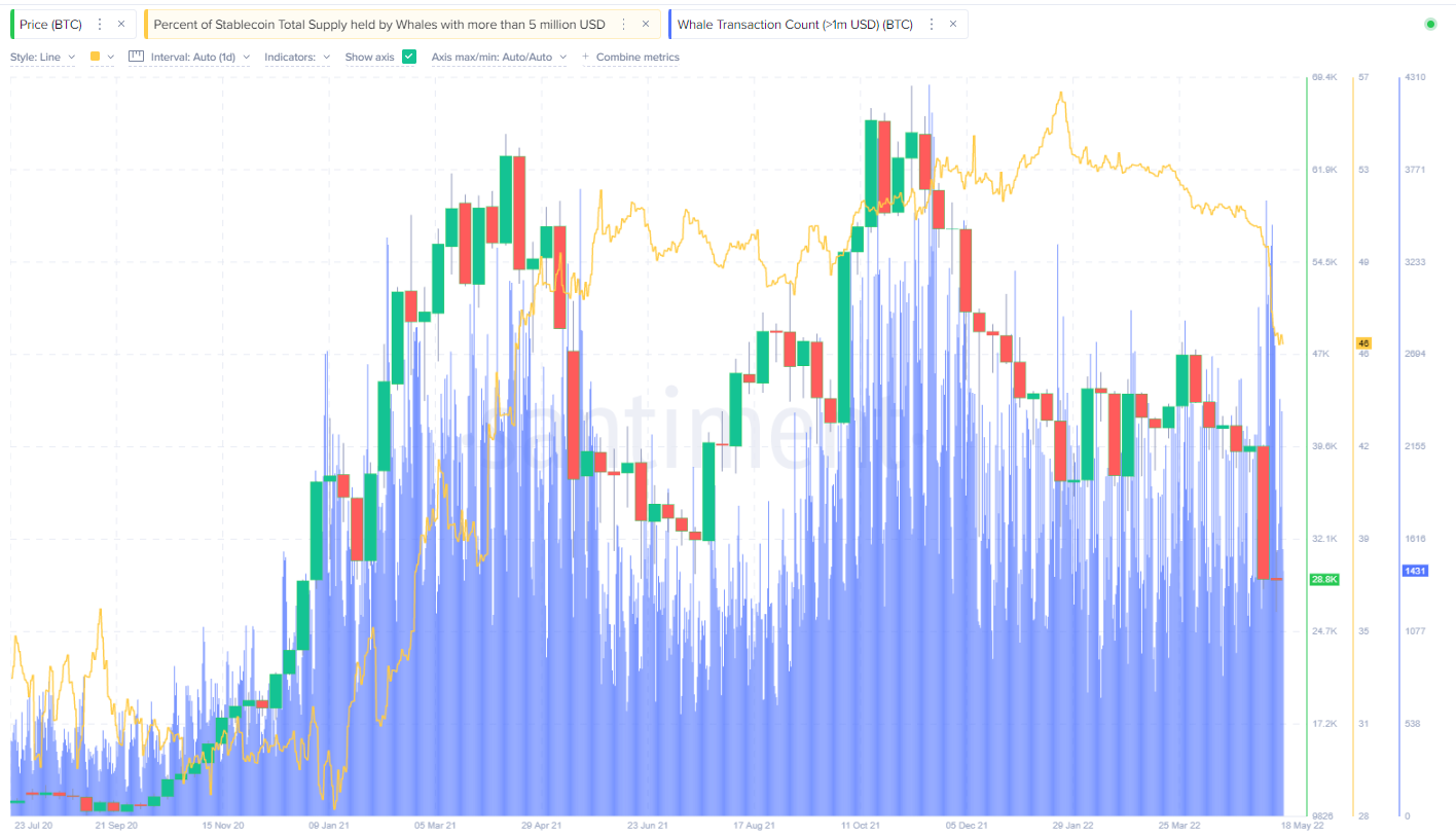Bitcoin Whales akkumulieren BTC
