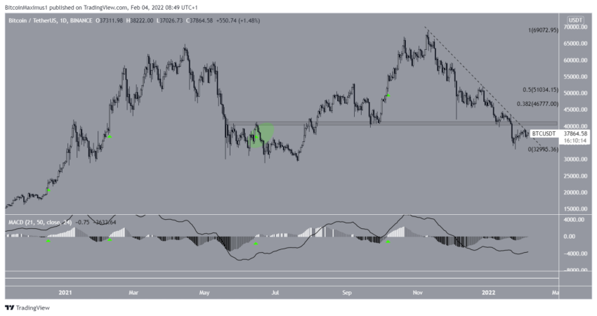 Dzienny MACD - analiza historyczna