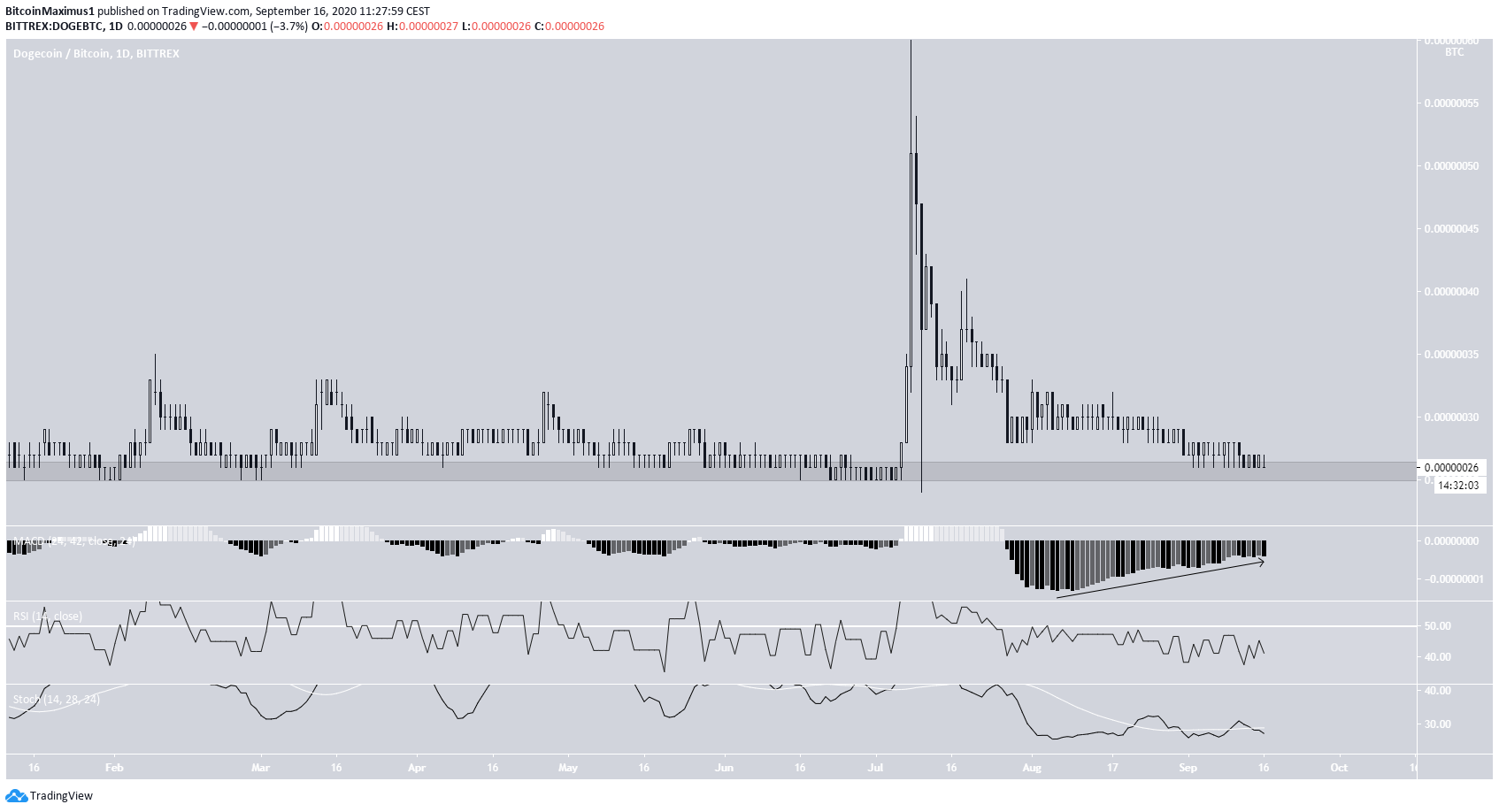 DOGE Long-Term Support