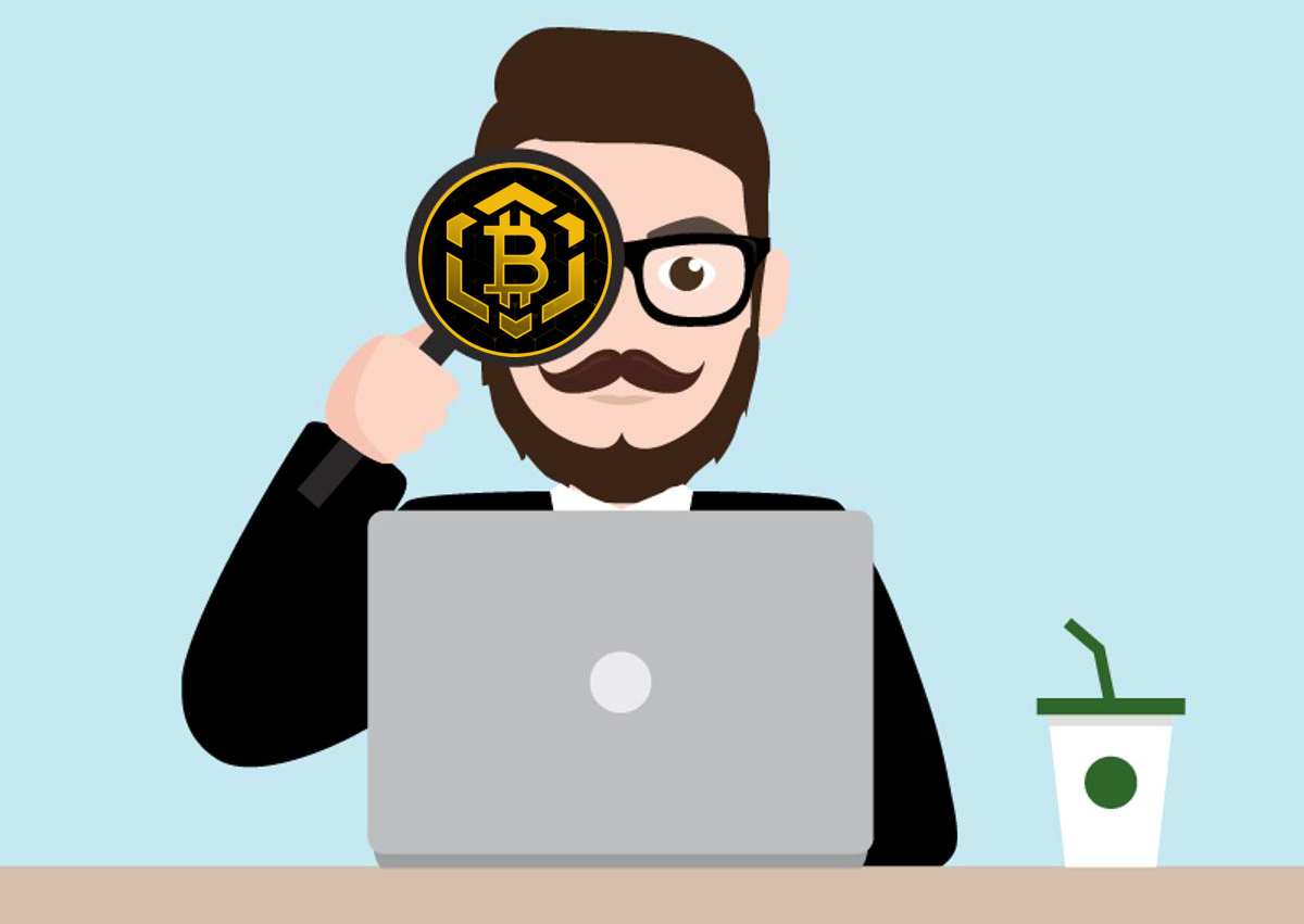 ¿Es Bitcoin BSC una buena inversión para el futuro?