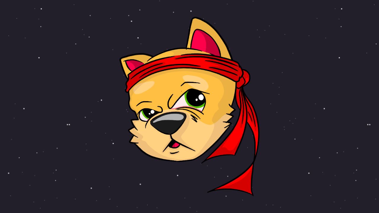 INU Token: What Is it and What Is it Used For?