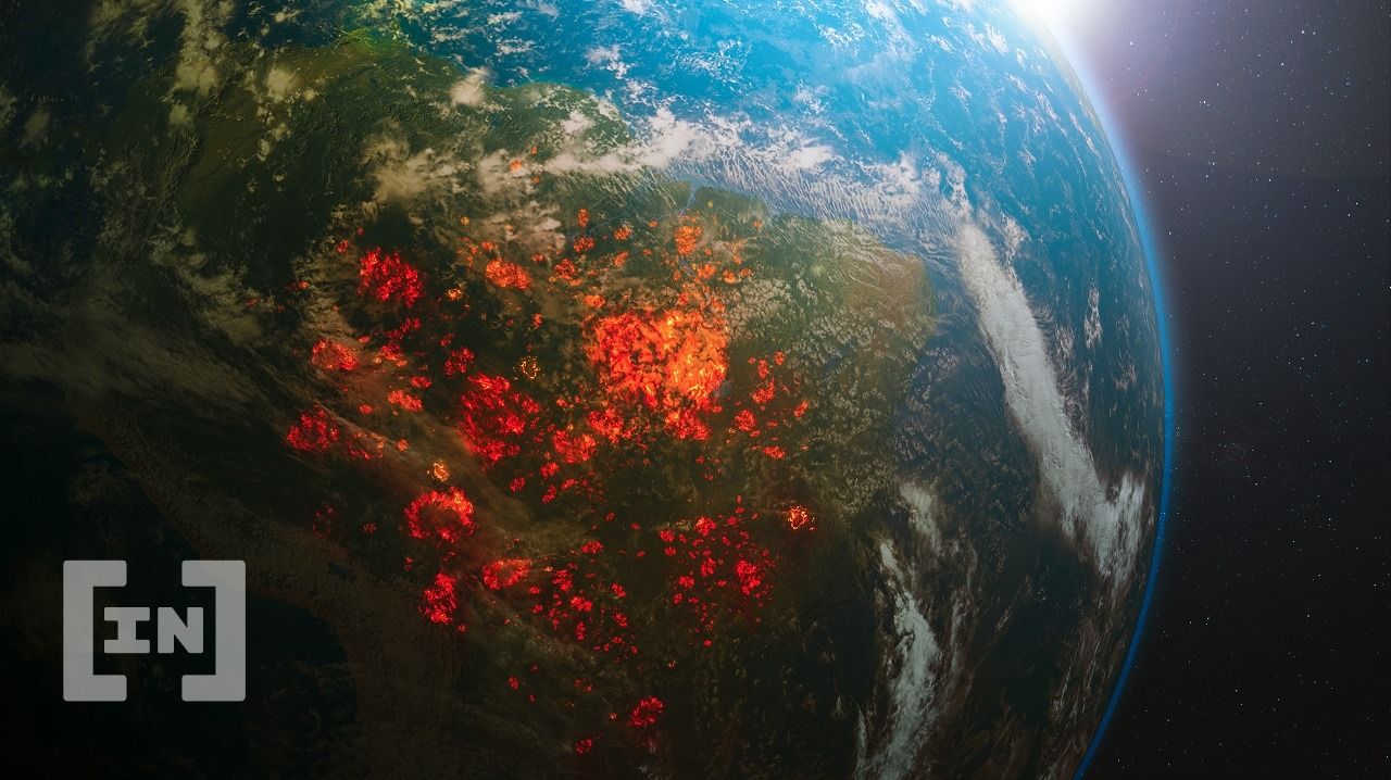 The Amazon: NFTs Minted to Save the Forest Sell out in one Hour