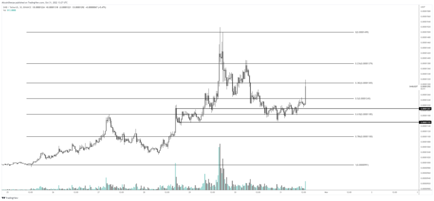 Prognoza ceny Shiba Inu