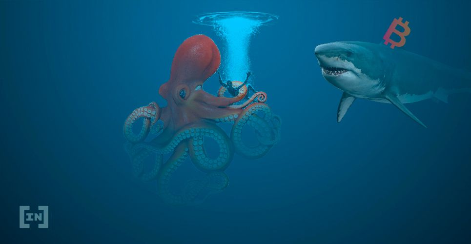 Ex Bitcoin Bear & Shark Tank Host Kevin O’Leary Ready to Allocate 5% of Portfolio