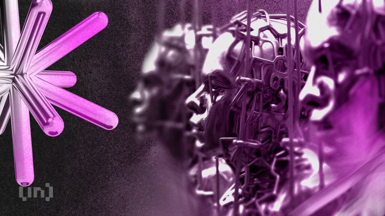 Elon Musk retira apoyo al indulto de Roger Ver en medio de procedimientos de extradición