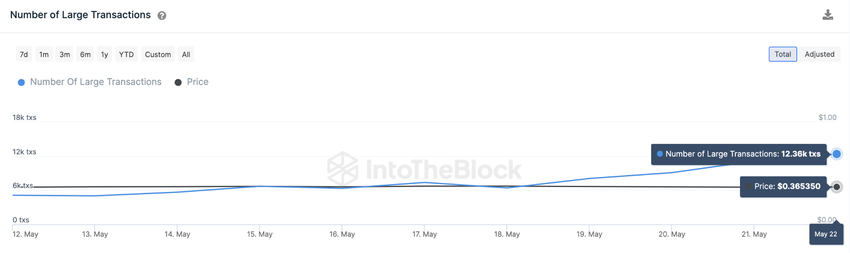 Transakcje wielorybów ADA