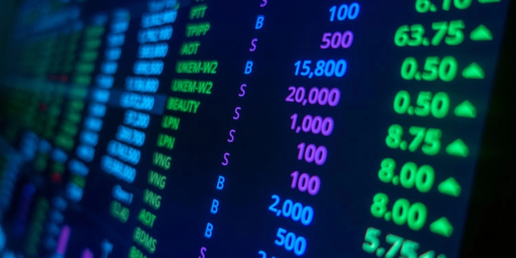 bolsa