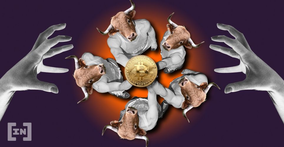 Bitcoin Bull Market