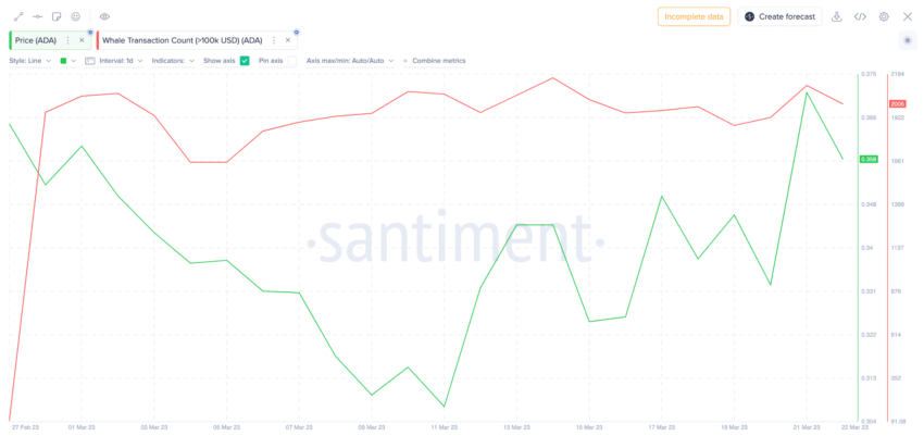 Cena Cardano i wieloryby