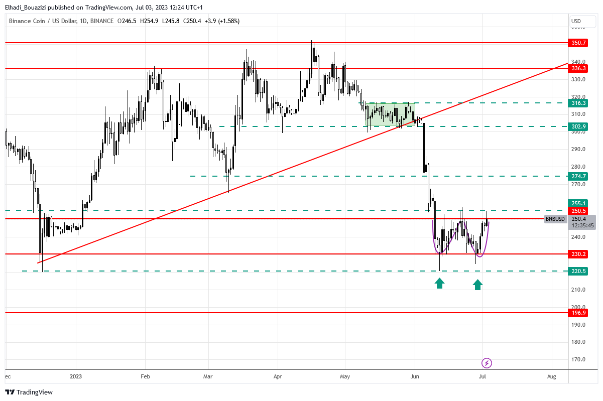 الرسم البياني اليومي لعملة بينانس BNB
