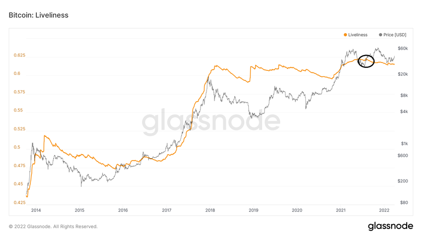 Liveliness ончейн