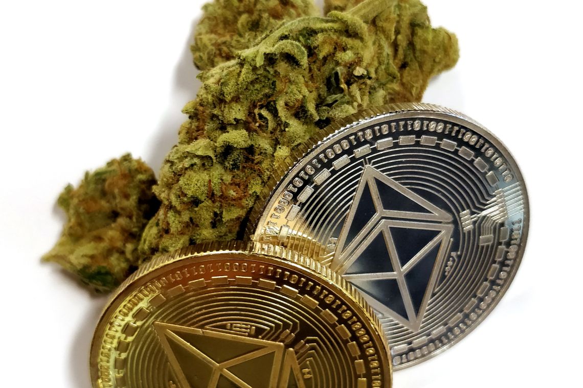 cannabis ethereum