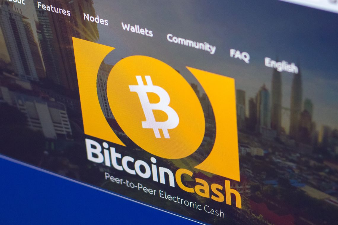 Bitcoin Cash (BCH)