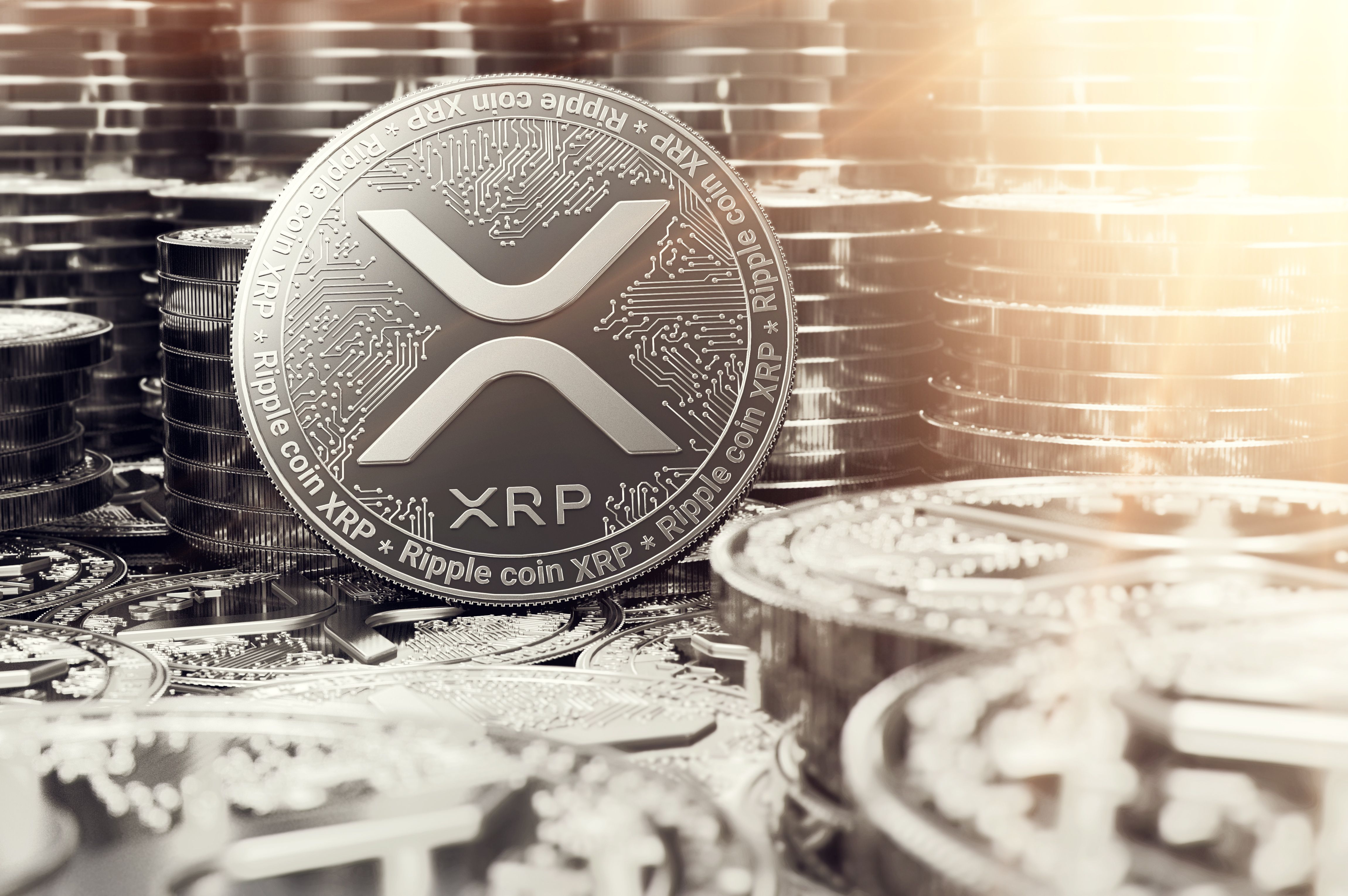 xrp coins