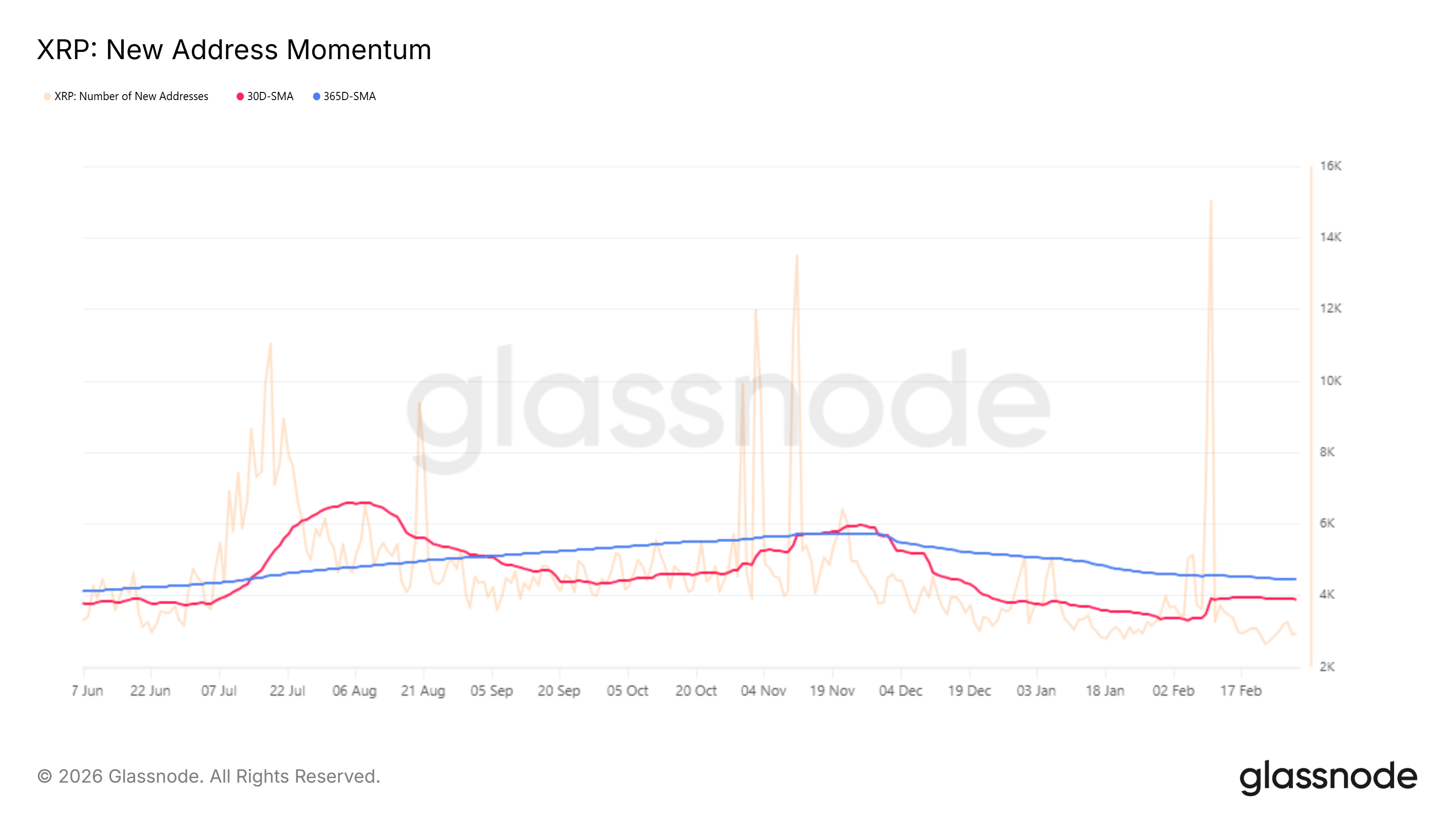 XRP New Addresses Momentum