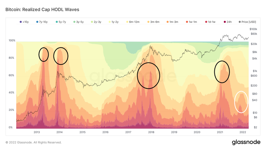 HODL Wave ончейн 
