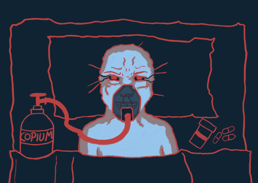 Shitcoins em alta no dextools – SPONGE e COPIUM se sobressaem