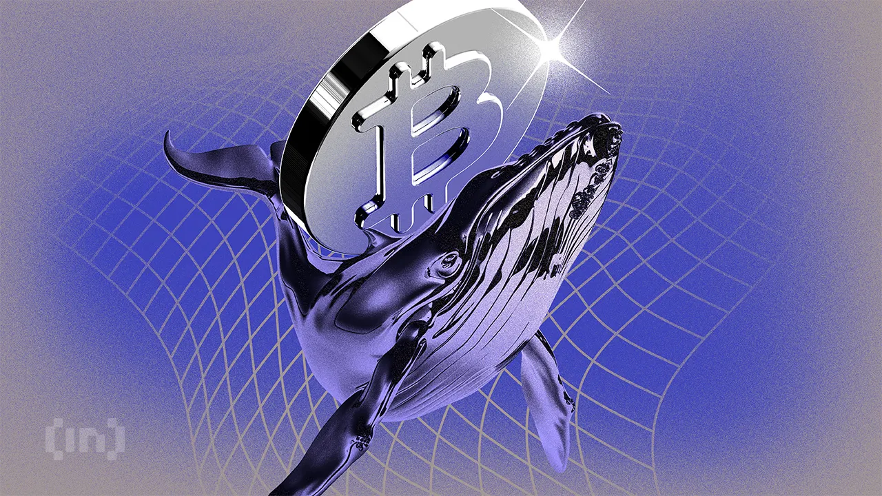 Whale Bitcoin Pindahkan Ratusan Jutaan Dolar dari Exchange, BTC Siap Reli?