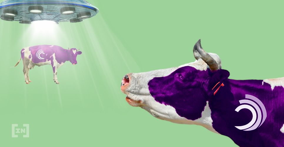 Tong Zhou May Return to BitTorrent After QuadrigaCX Takes His Life Savings