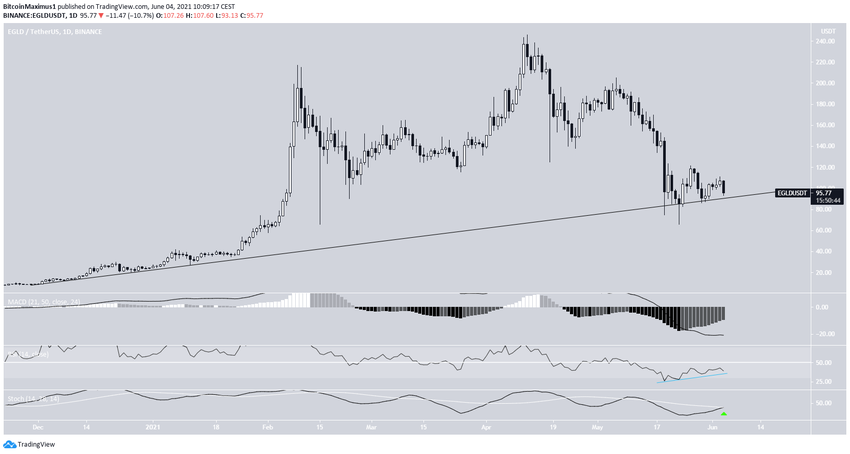 EGLD ascending support line альткоинов