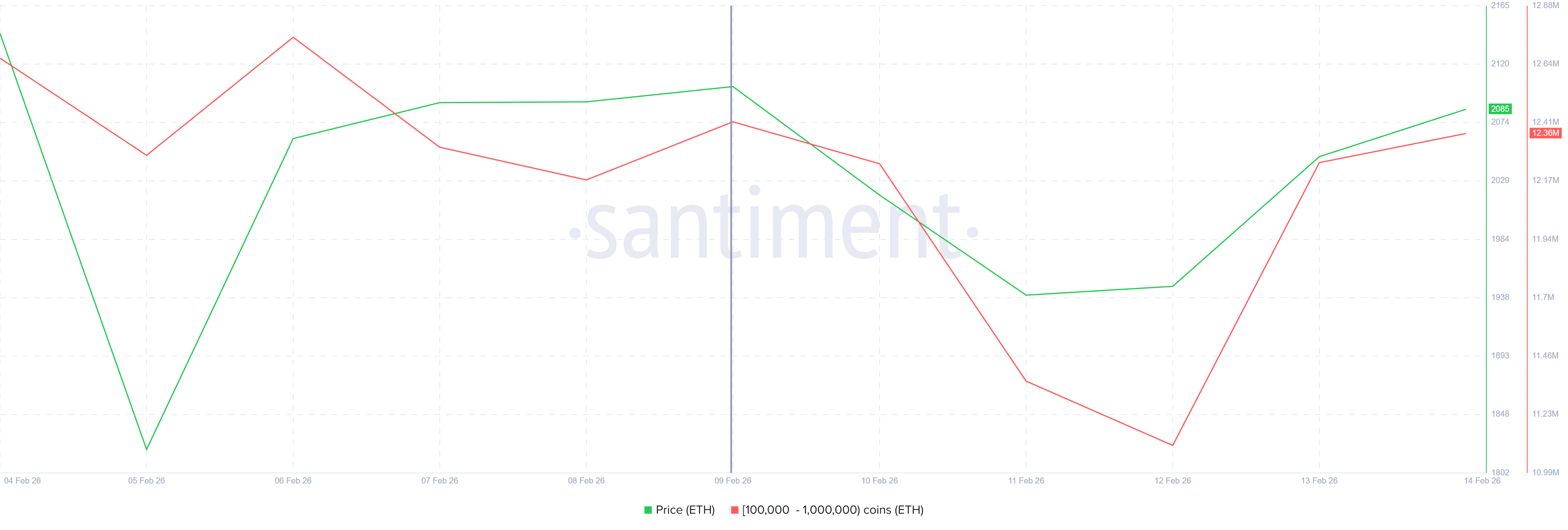 Ethereum Whale Holding
