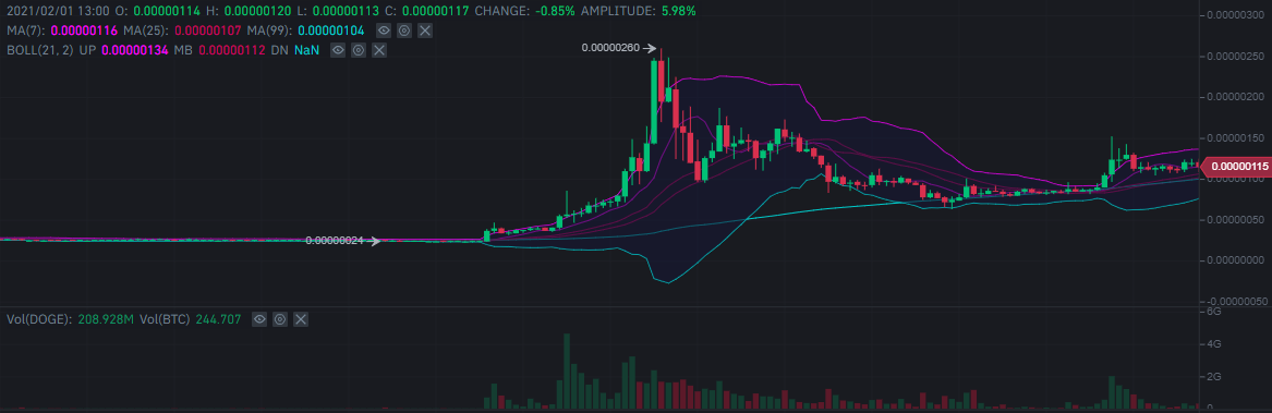Binance DOGE dogecoin