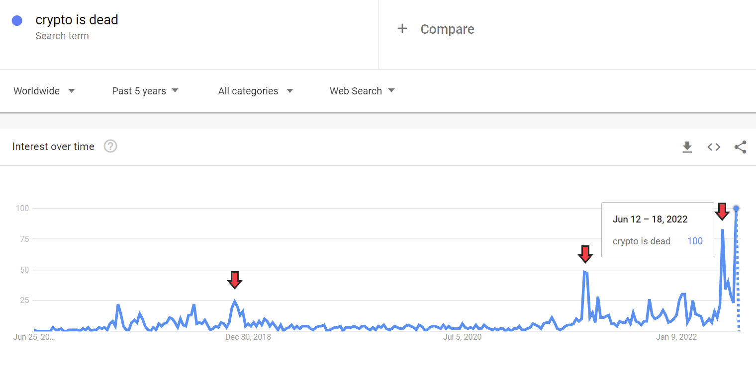 Crypto is dead - rekord wyszukiwań