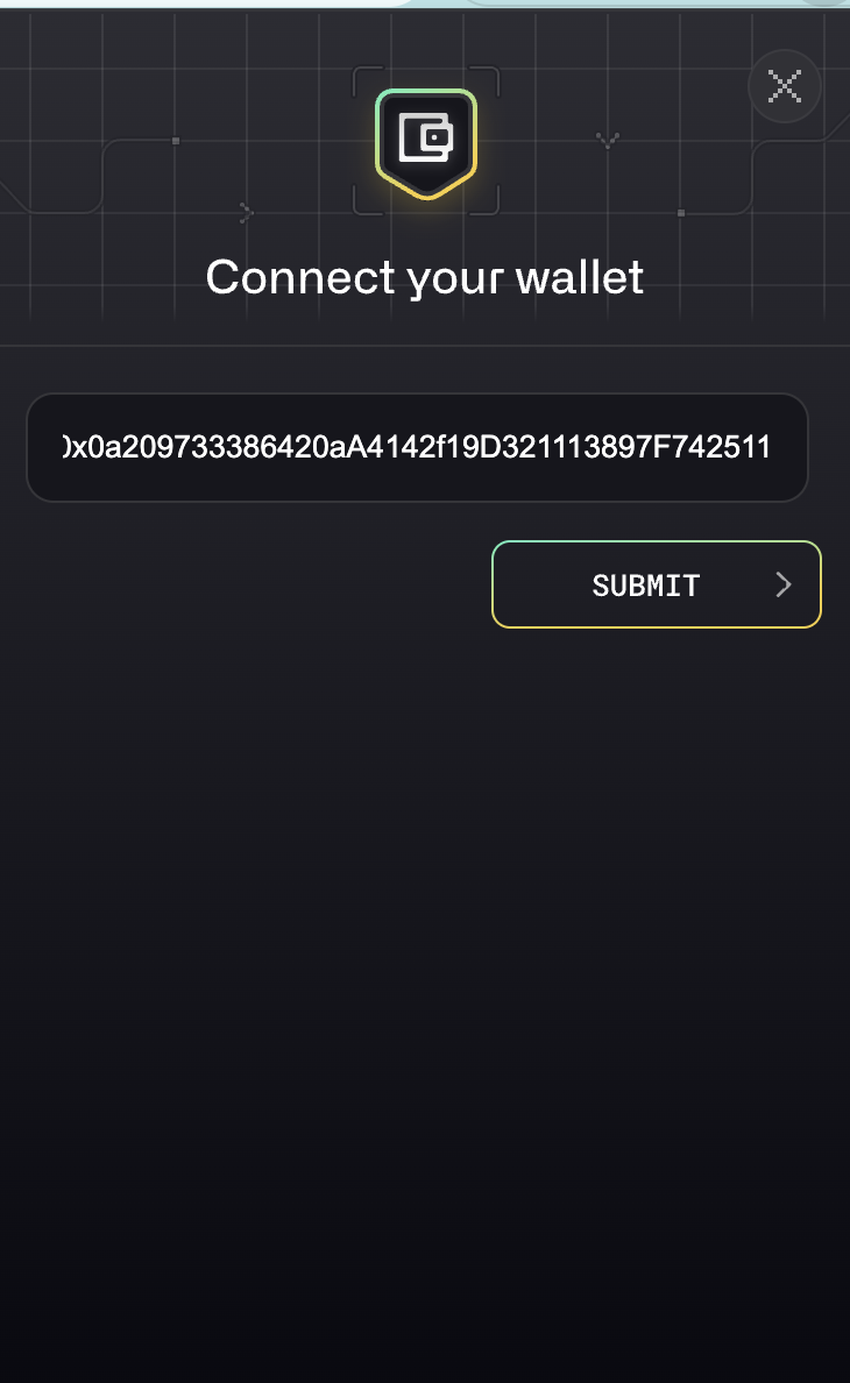 connect your wallet