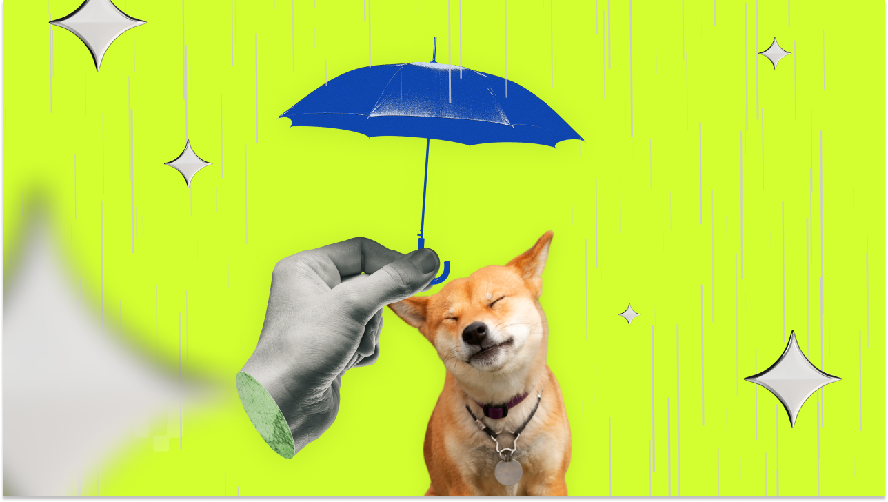 Shiba Inu : le burn du jeton augmente de 10 000 %, un rallye à l’horizon ?