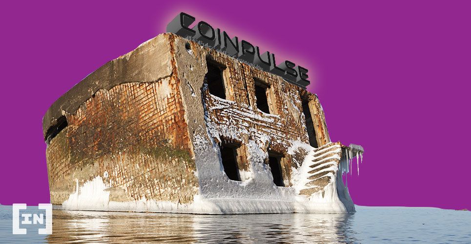 CoinPulse Fails to Survive Crypto Winter