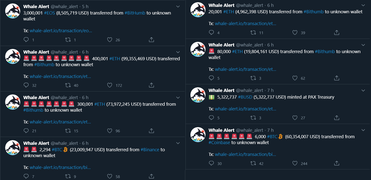 Whale Alert mostra dezenas de saques significativos