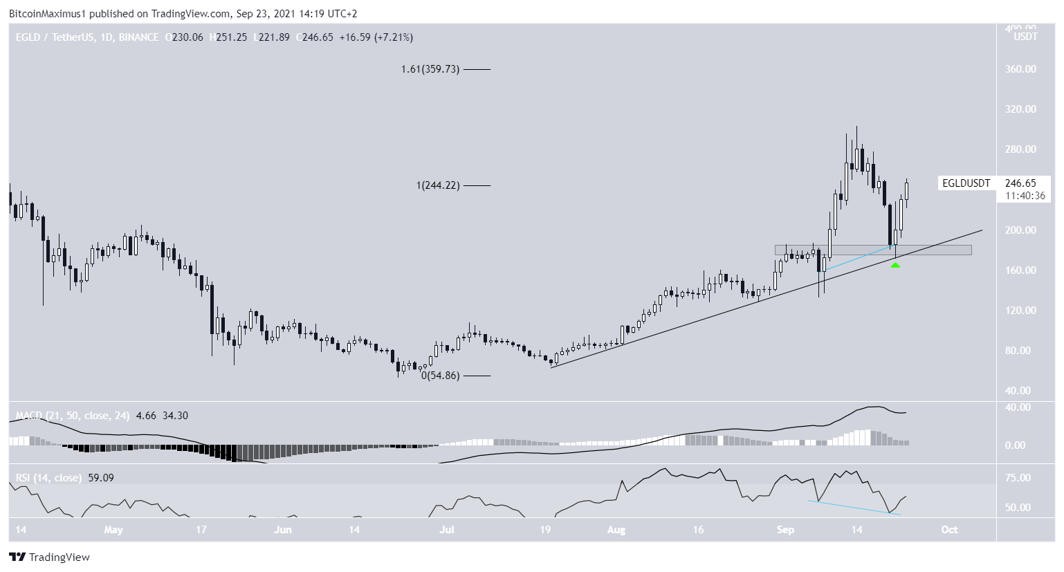 EGLD ascending support