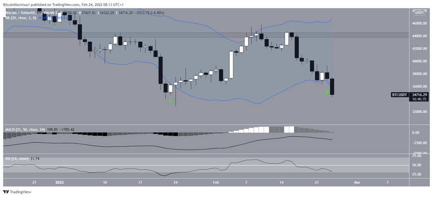 Daily indicators биткоин