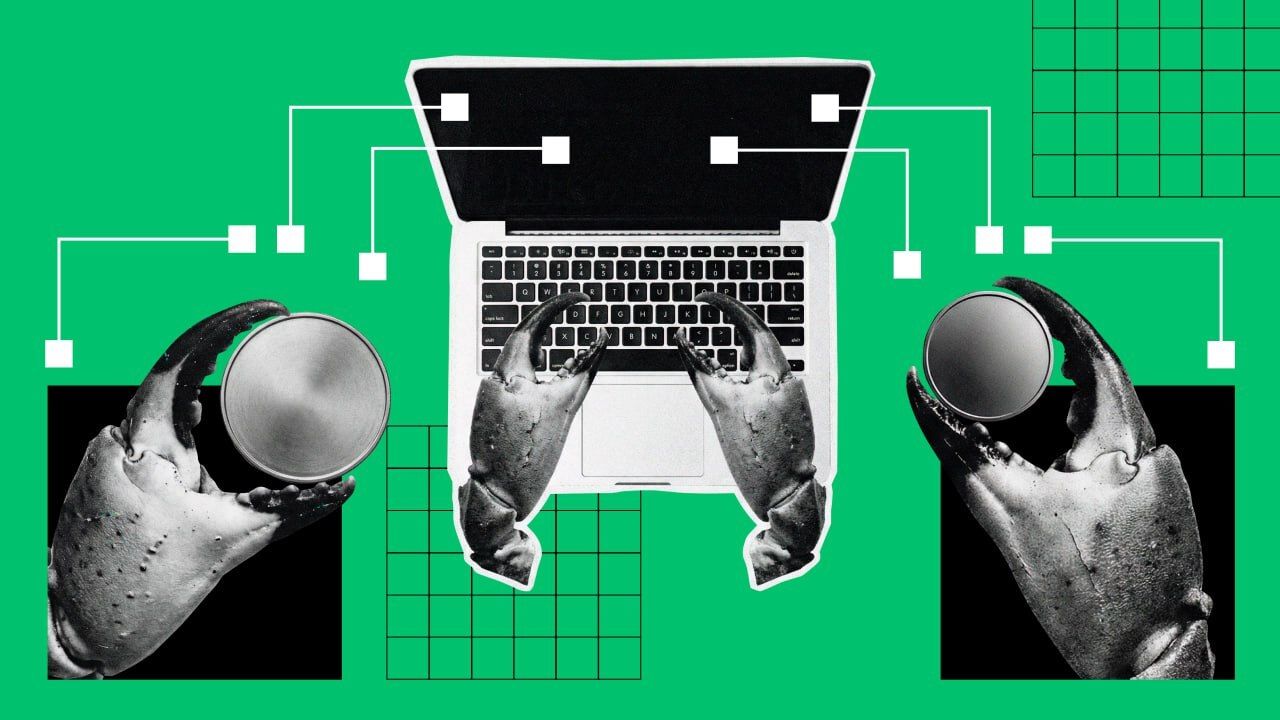 Why the Rise of MOLT Is a Systemic Failure, Not a Financial Breakthrough