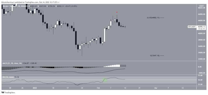 BTC Daily