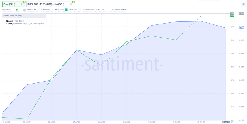 Bitcoin Cash (BCH) Crypto Whales Wallet Balances. Jujy 2023.