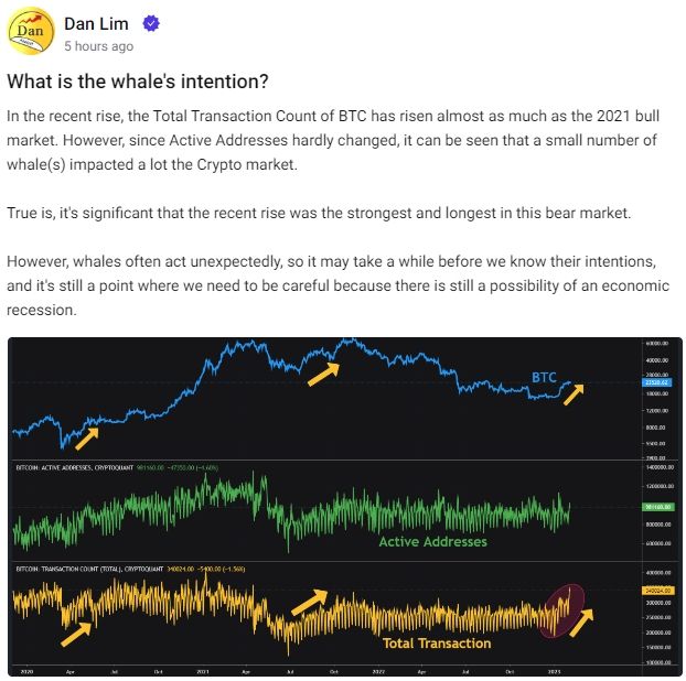 “1월 비트코인 상승장, 소수 고래가 주도”