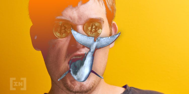 Кошелек биткоин-кита потяжелел еще на 14 000 монет