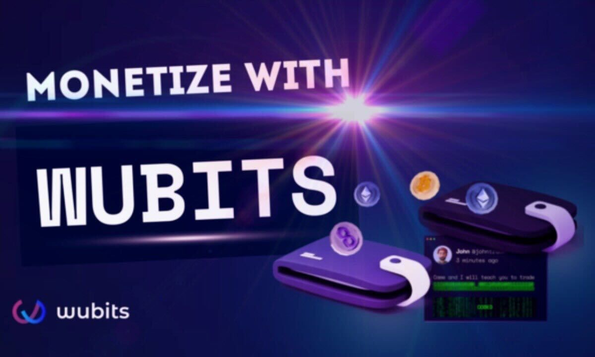 WUBITS Launches a New Platform for Fractionalized Monetization