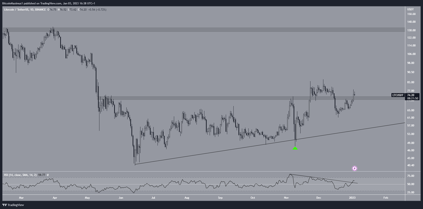 Wykres dzienny Litecoin