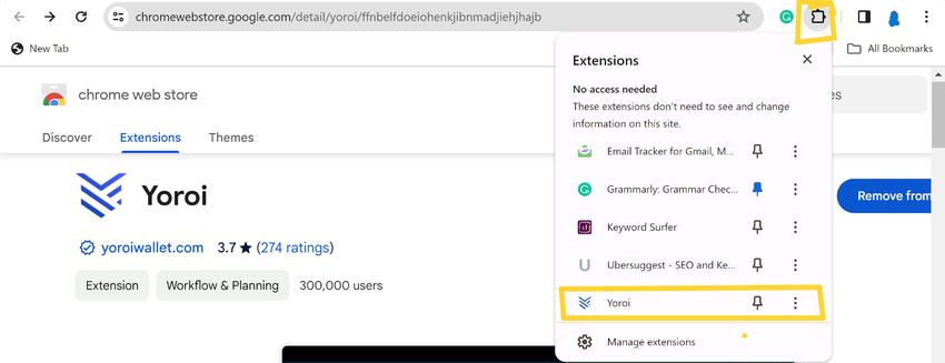 chrome webstore