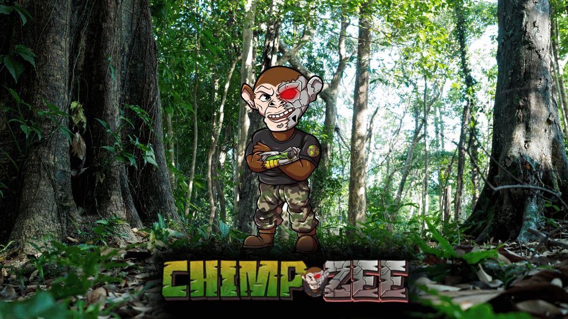 Chimpzee: o projeto de criptomoeda que ajuda você a ser mais ecológico