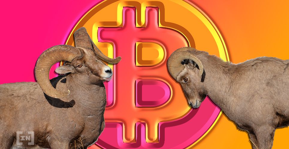 John McAfee Claims Craig Wright Is Not Satoshi Nakamoto