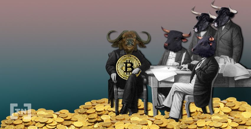 Government Bitcoin BTC Bull